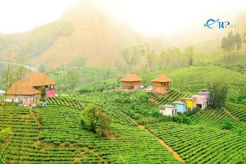 Mộc Ch&acirc;u Arena Village