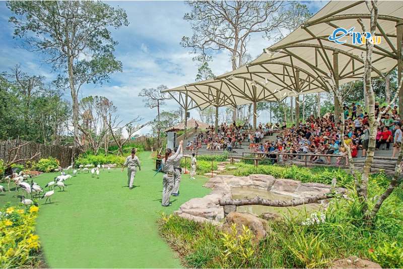 Những show biểu diễn th&uacute; tại Ph&uacute; Quốc Safari
