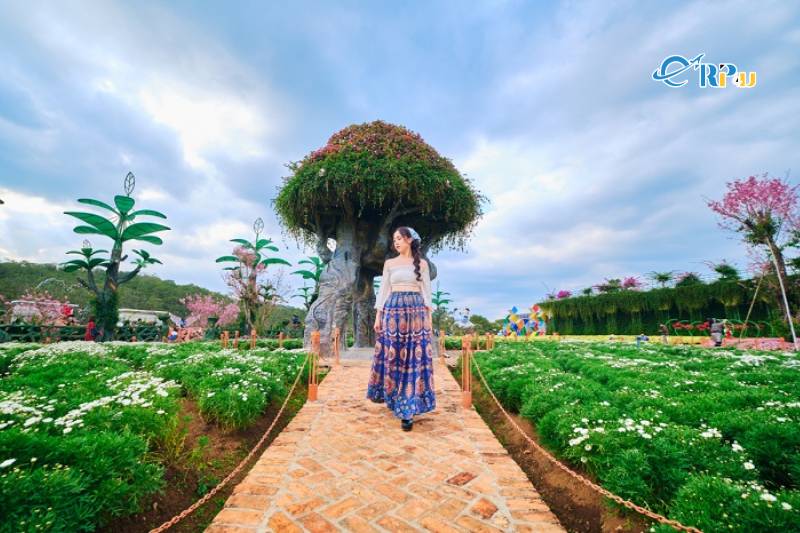 Đến khu vườn xanh - Fresh Đ&agrave; Lạt m&ugrave;a n&agrave;o l&yacute; tưởng