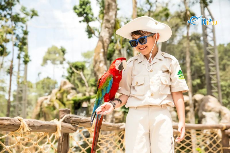 Hướng dẫn đặt mua v&eacute; Vinpearl Safari Ph&uacute; Quốc