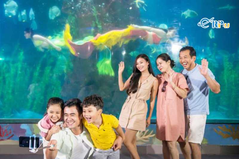 Show diễn n&agrave;ng ti&ecirc;n c&aacute;