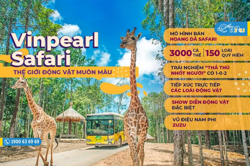 Vinpearl Safari Ph&uacute; Quốc: Review Vườn th&uacute; Safari Ph&uacute; Quốc chi tiết từ A-Z