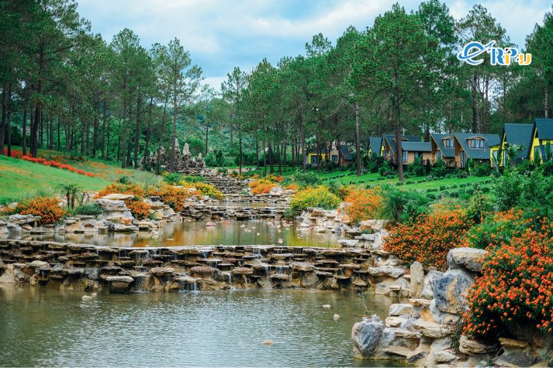 Rừng Th&ocirc;ng Bản &Aacute;ng