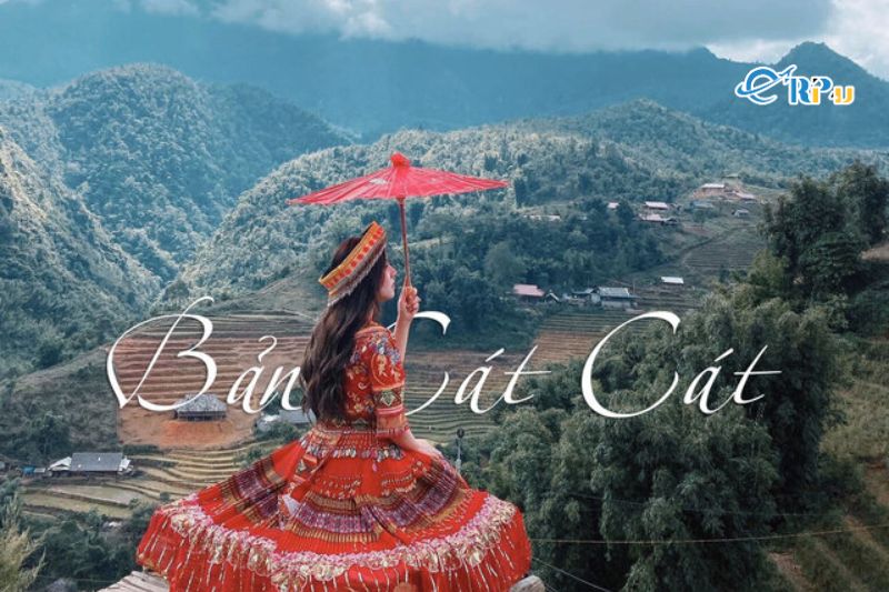Bản C&aacute;t C&aacute;t