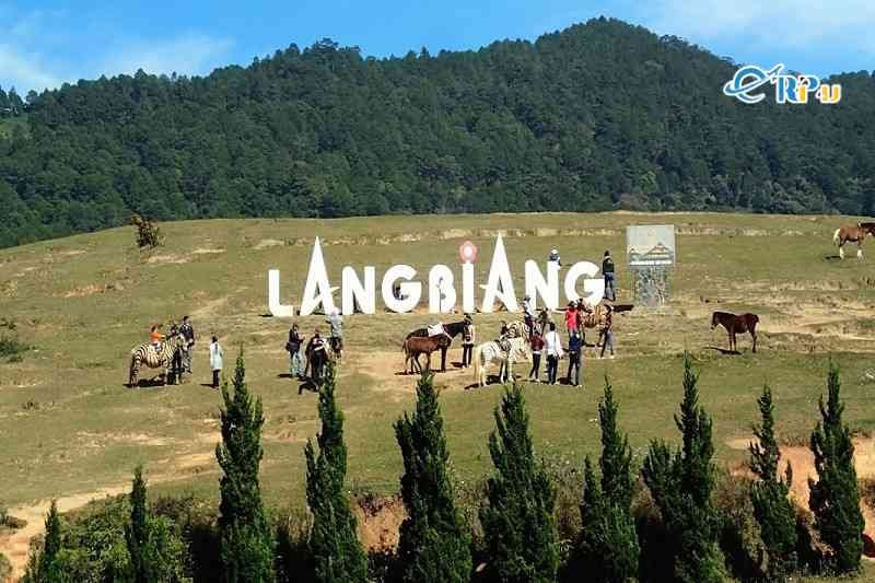 Cưỡi ngựa Langbiang Đ&agrave; Lạt
