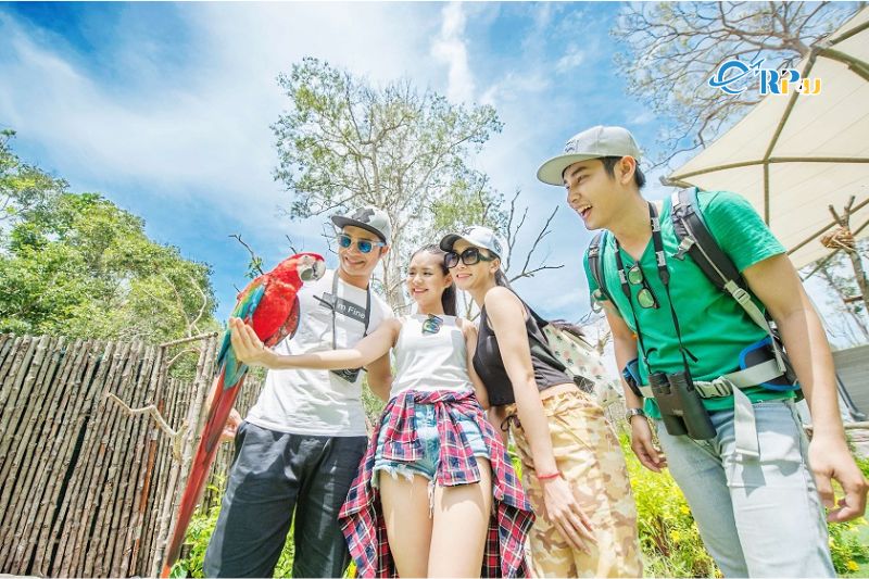 Kinh nghiệm đi c&ocirc;ng vi&ecirc;n Safari Ph&uacute; Quốc