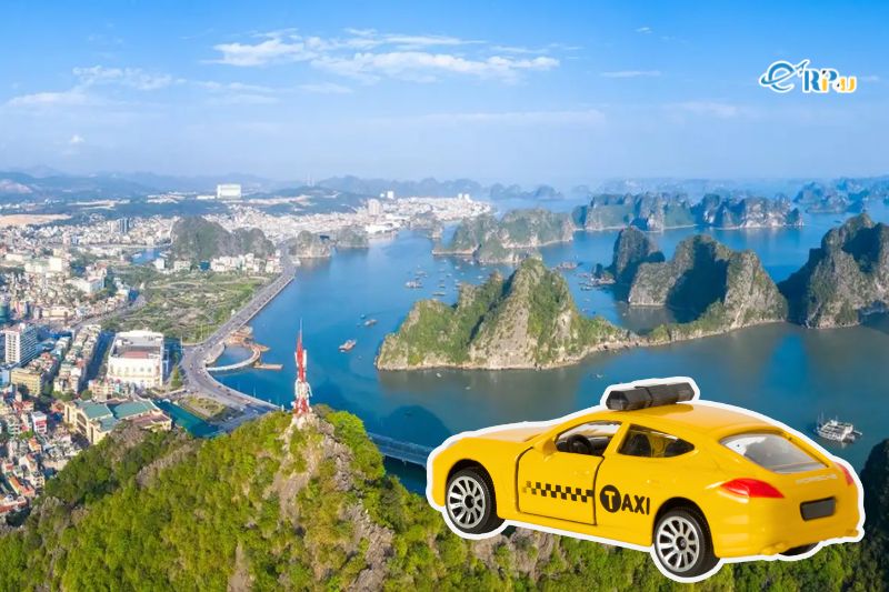 Phương lại di chuyển tại Hạ Long