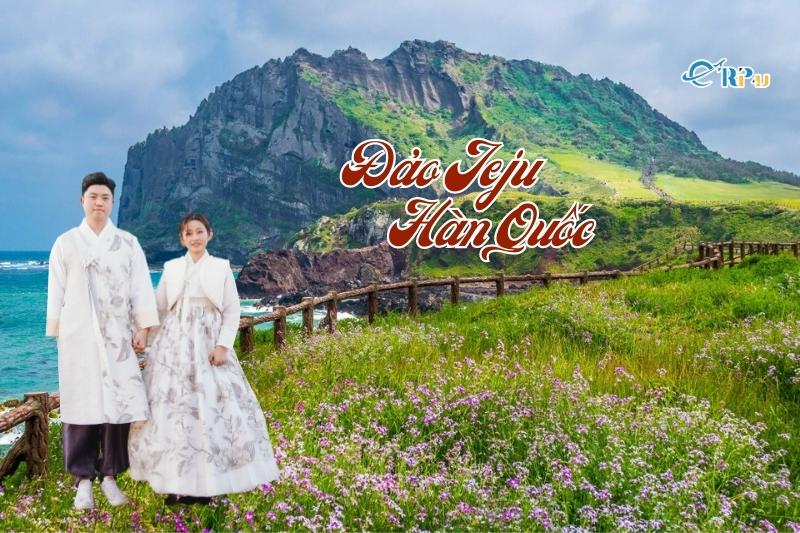 đảo jeju đảo jeju