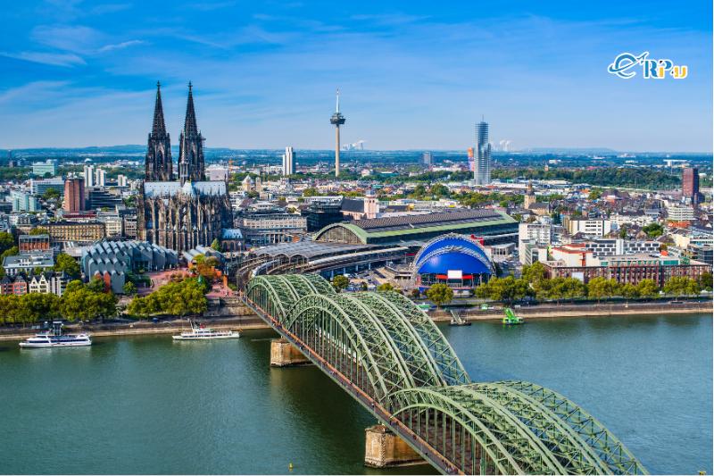 Cologne