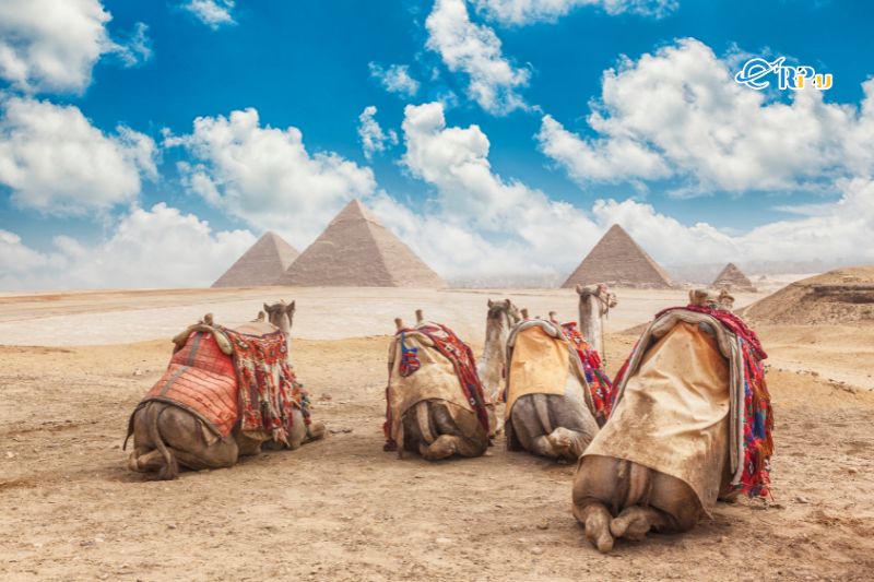 Gợi &yacute; một số tour Ai Cập được y&ecirc;u th&iacute;ch