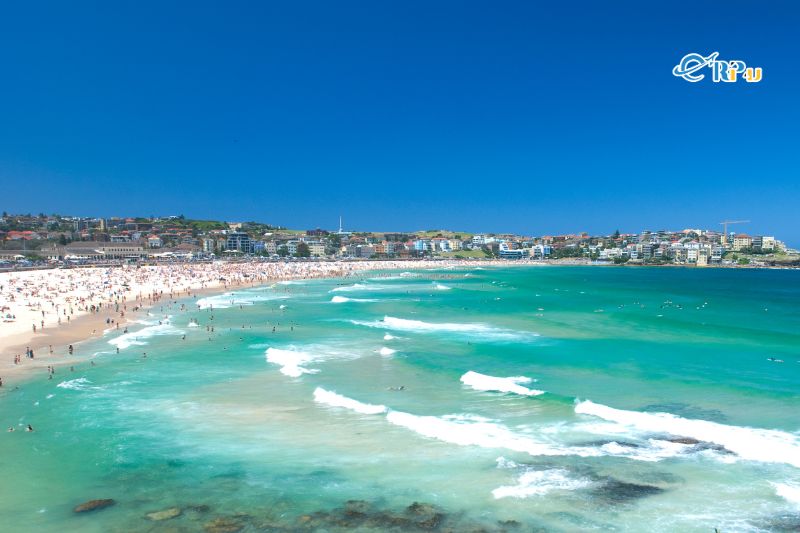 B&atilde;i biển Bondi