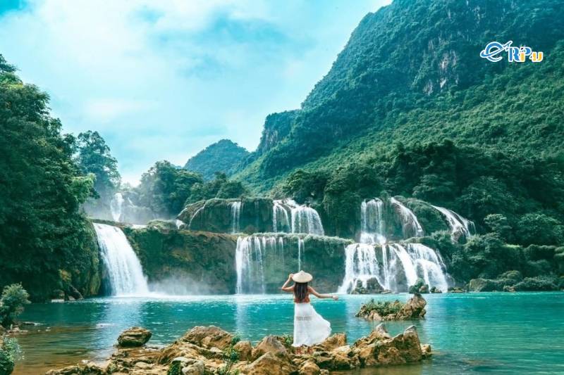 th&aacute;c bản giốc