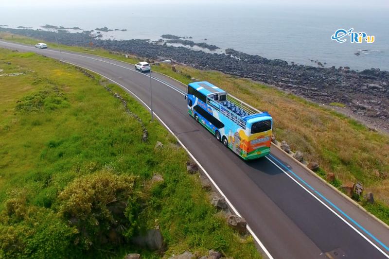 Di chuyển tr&ecirc;n đảo Jeju