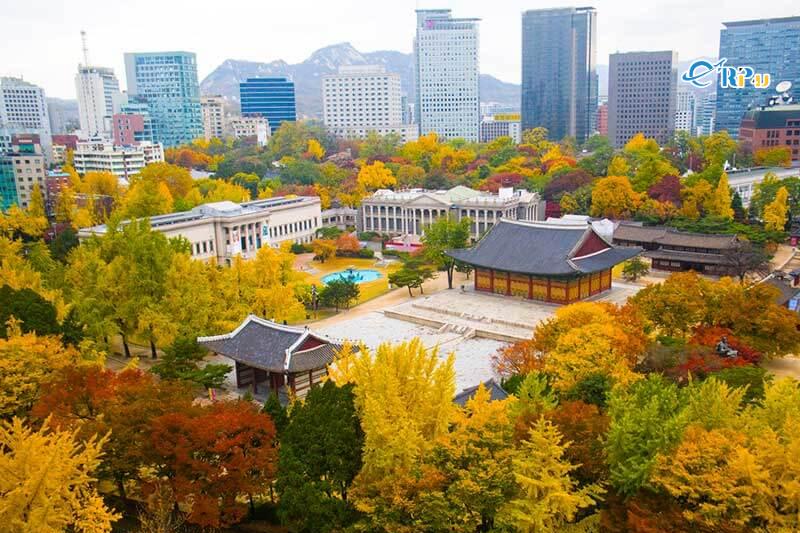 Lịch sử h&igrave;nh th&agrave;nh Seoul