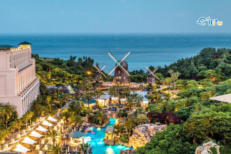 Kh&aacute;ch sạn Lotte City Jeju