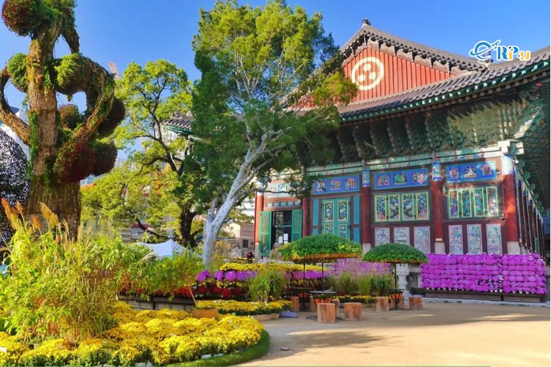 Ch&ugrave;a Jogyesa