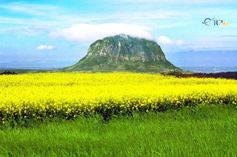 N&uacute;i Hallasan