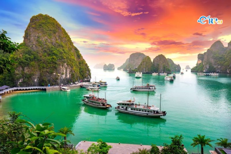 Vịnh Hạ Long