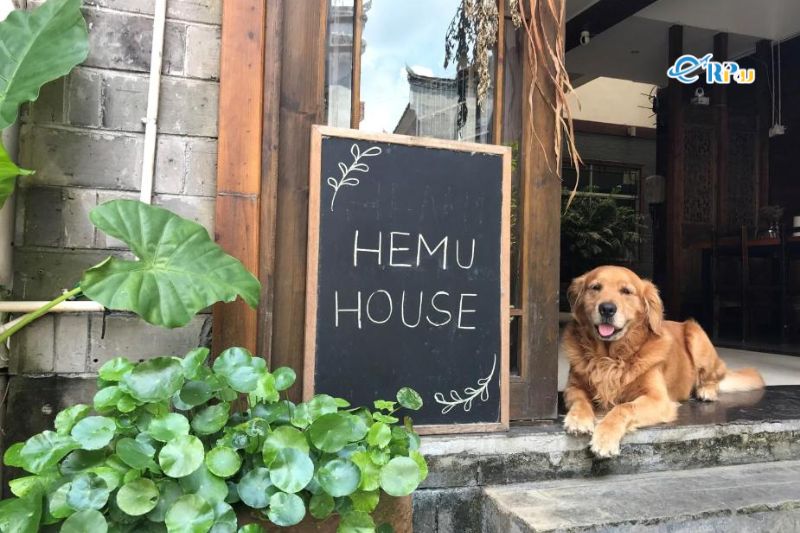 Hemu House