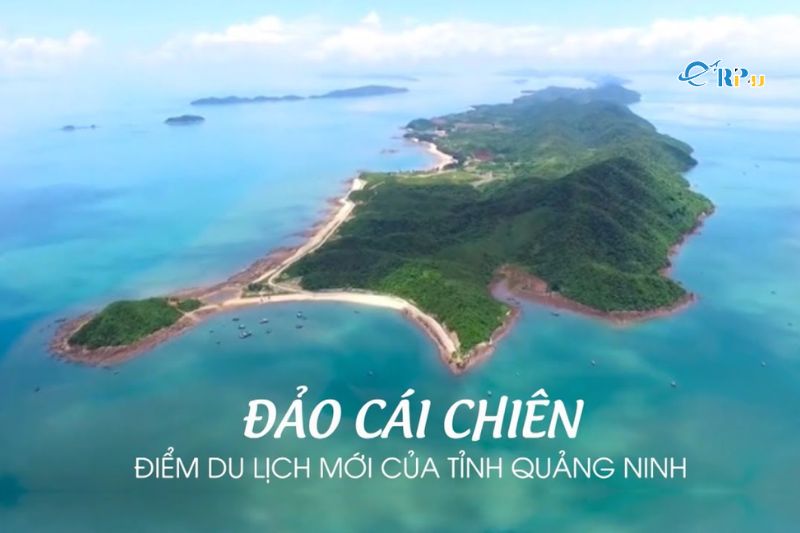 Đảo C&aacute;i Chi&ecirc;n