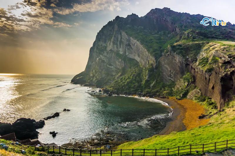 Nên đi du lịch Đảo Jeju thời điểm nào? Nên đi du lịch Đảo Jeju thời điểm nào?