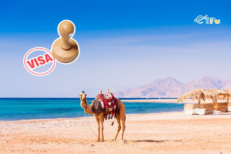 C&aacute;ch xin visa đi Ai Cập