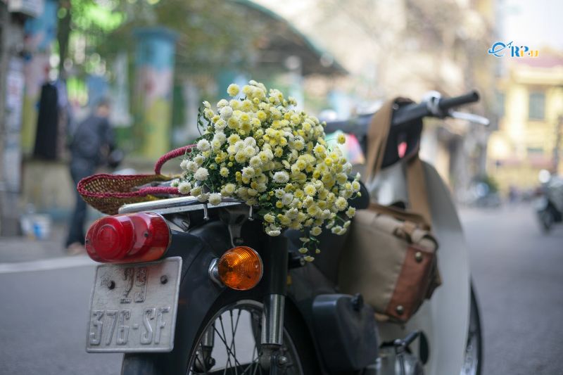 Đi du lịch H&agrave; Nội m&ugrave;a n&agrave;o hợp l&yacute;?