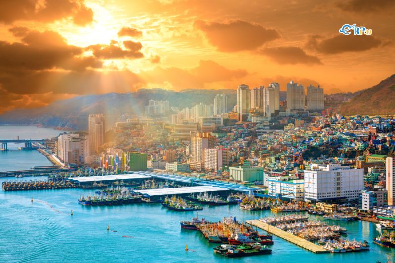 Đi du lịch Busan m&ugrave;a n&agrave;o đẹp?