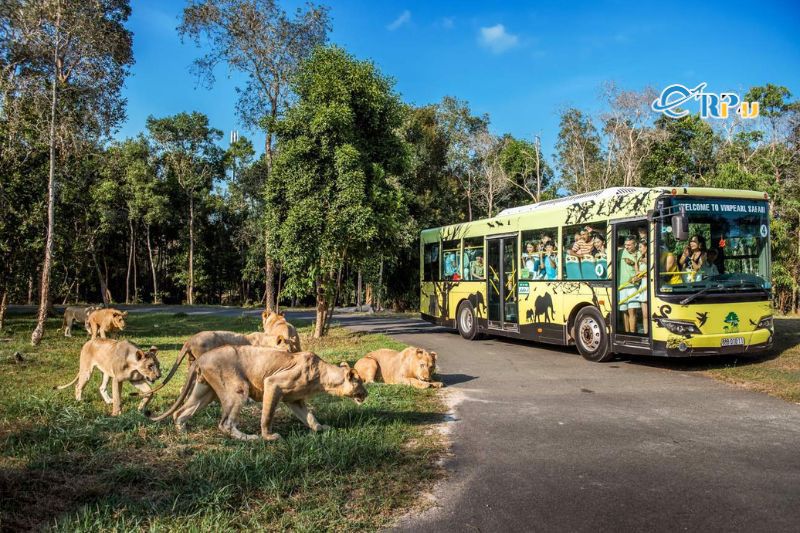 Vinpearl Safari Ph&uacute; quốc 