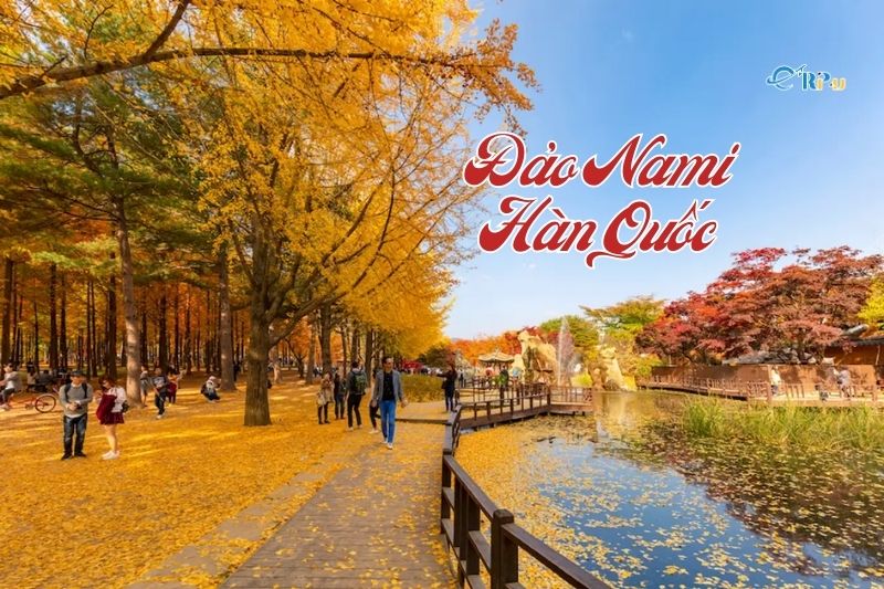 Tour du lịch đảo Nami H&agrave;n Quốc
