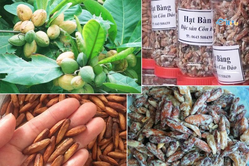 Mứt hạt b&agrave;n