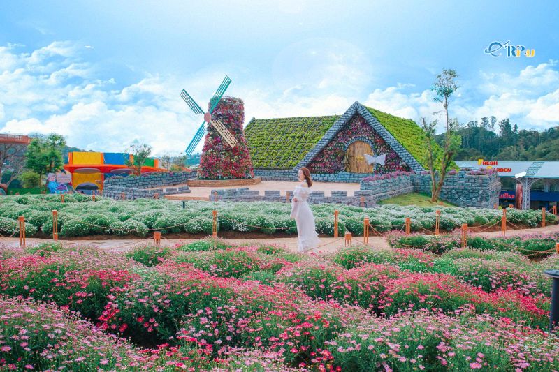 Fresh Garden Đ&agrave; Lạt