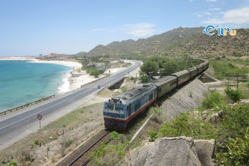 Đi t&agrave;u hỏa v&agrave;o Quy Nhơn 
