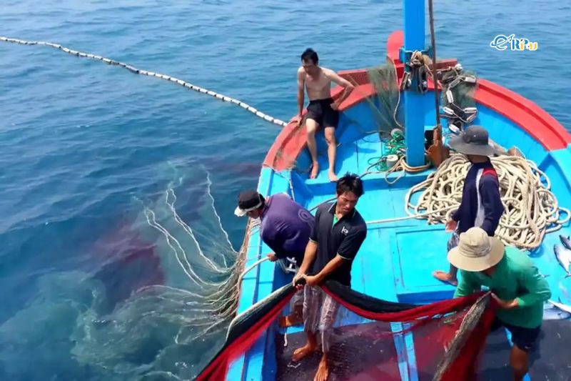 Tham gia đ&aacute;nh bắt hải sản c&ugrave;ng ngư d&acirc;n