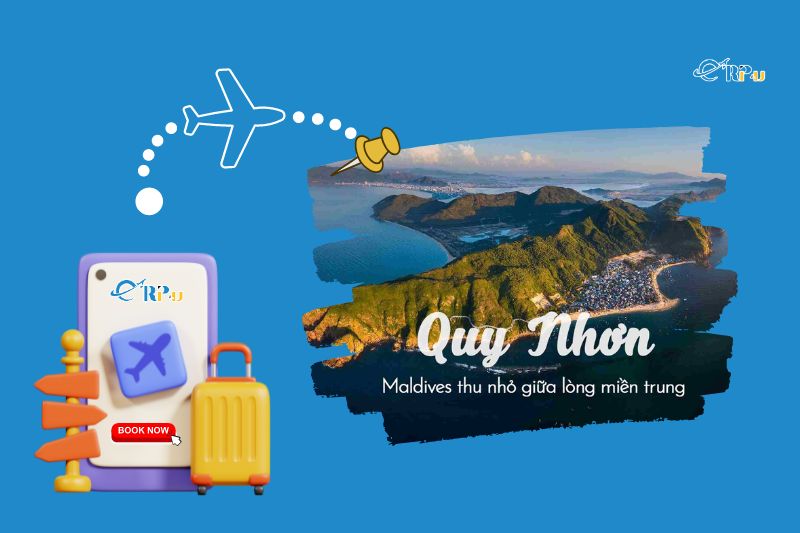Đặt v&eacute; m&aacute;y bay H&agrave; Nội đi Quy Nhơn gi&aacute; rẻ tại Vnbuy