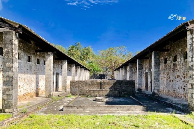 C&aacute;c nh&agrave; t&ugrave; C&ocirc;n Đảo