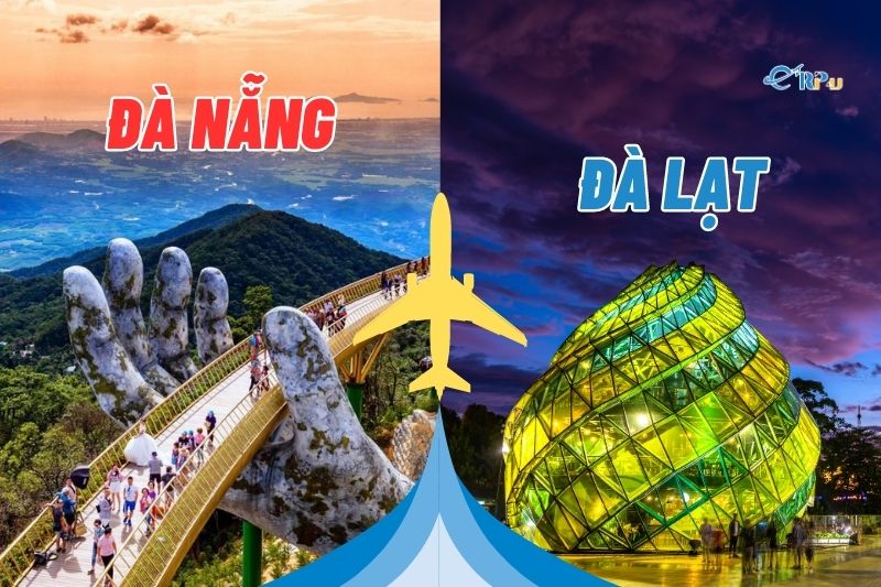 V&eacute; m&aacute;y bay Đ&agrave; Nẵng Đ&agrave; Lạt