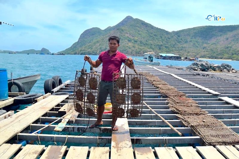 Tham quan khu nu&ocirc;i cấy ngọc trai