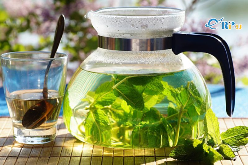 Thảo dược, thuốc l&aacute;