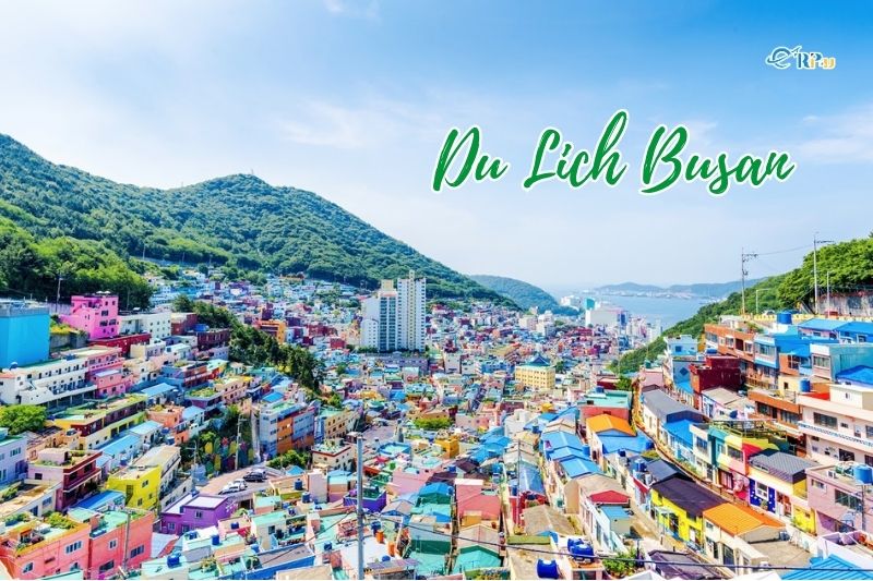 busan