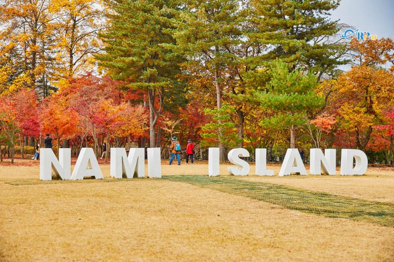 Gợi &yacute; một số tour Đảo Nami H&agrave;n Quốc hot nhất