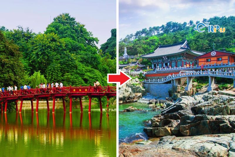 Chặng H&agrave; Nội - Busan