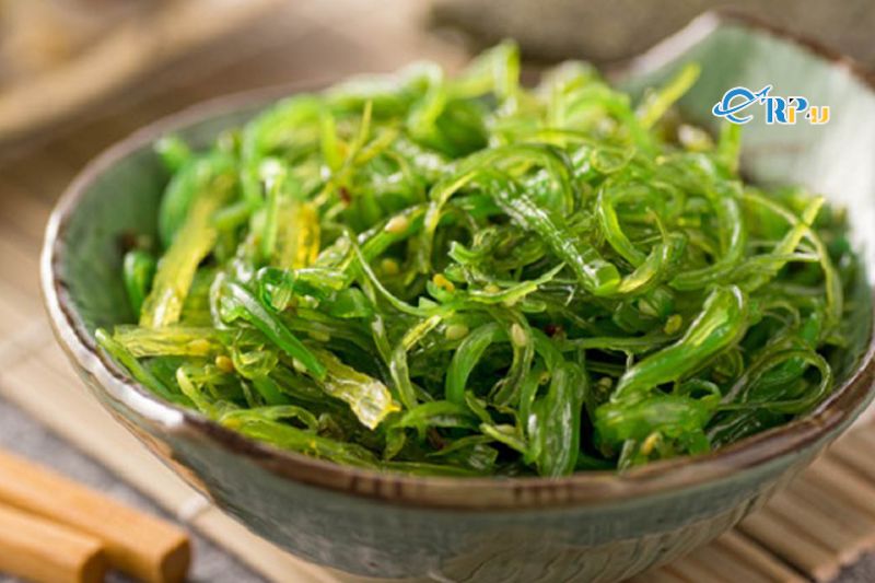 Rong biển Mỹ Kh&ecirc;