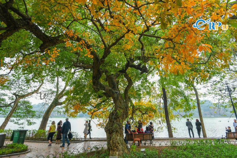 Du lịch H&agrave; Nội m&ugrave;a n&agrave;o đẹp nhất trong năm?