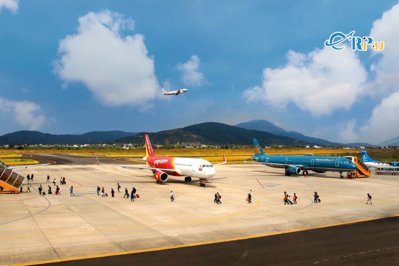 H&atilde;ng h&agrave;ng kh&ocirc;ng n&agrave;o đang khai th&aacute;c chặng bay Cần Thơ - Đ&agrave; Lạt&nbsp;