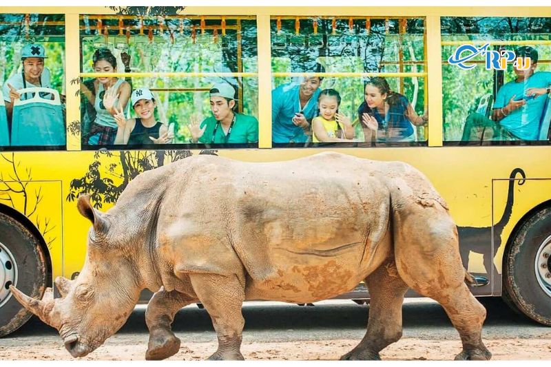 Nhốt người thả th&uacute; tại Vinpearl Safari