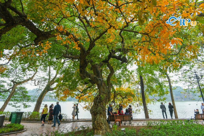 Du lịch H&agrave; Nội m&ugrave;a n&agrave;o đẹp nhất trong năm?