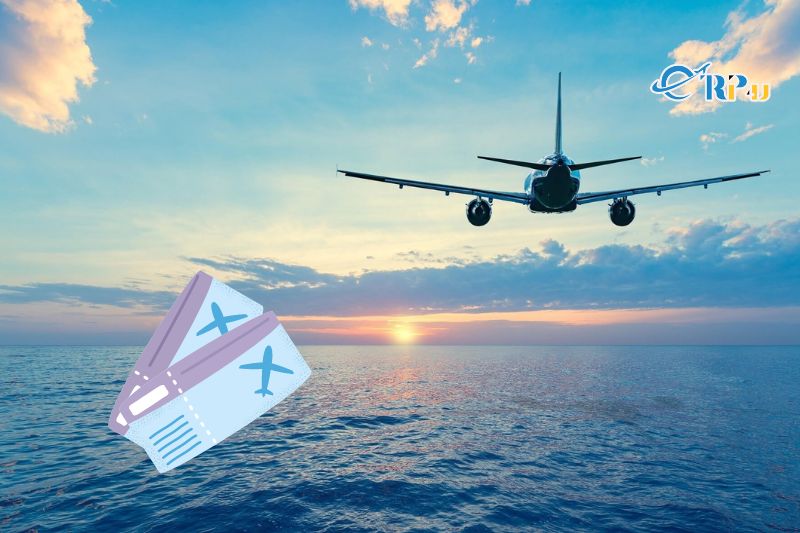 Mẹo đặt v&eacute; m&aacute;y bay Cần Thơ - Đ&agrave; Lạt gi&aacute; rẻ&nbsp;