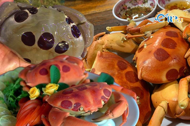 Cua Mặt Trăng