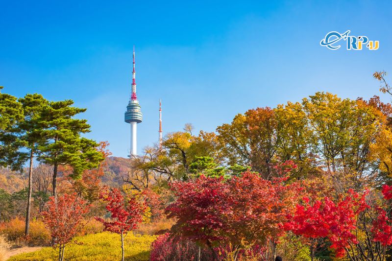 Th&aacute;p N Seoul